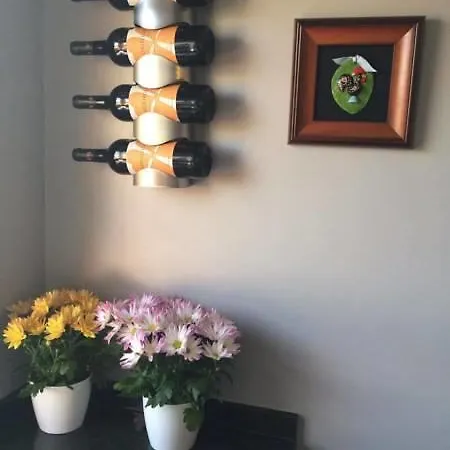 Διαμέρισμα Apartamento Jardim Do Morro *
